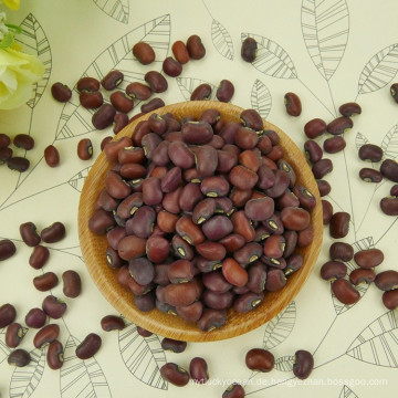 Chinesischer roter Cowpea für alle Größe